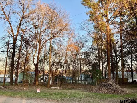 262 E Walnut Trl, Murchison, TX 75778 photo 9