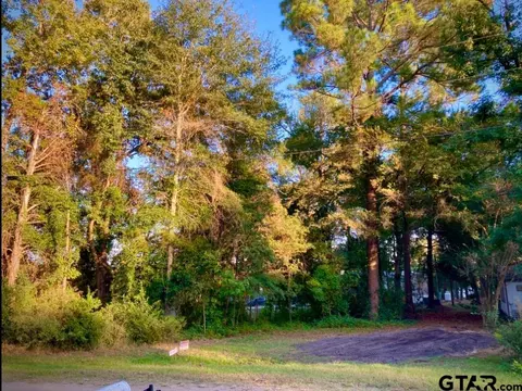 262 E Walnut Trl, Murchison, TX 75778 photo 2