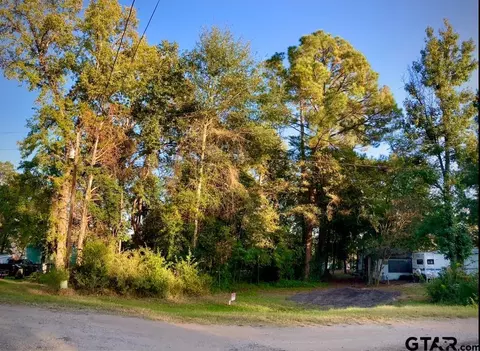 262 E Walnut Trl, Murchison, TX 75778 photo 3