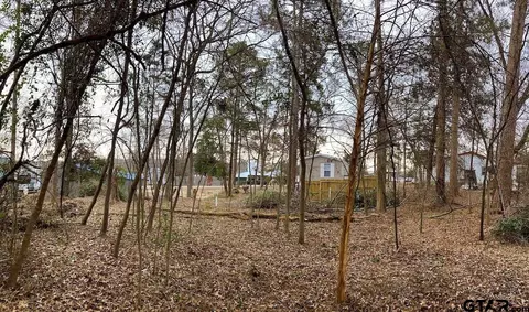 262 E Walnut Trl, Murchison, TX 75778 photo 8