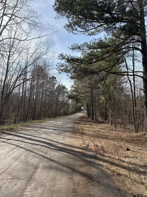23597 Cr 244, Overton, TX 75684