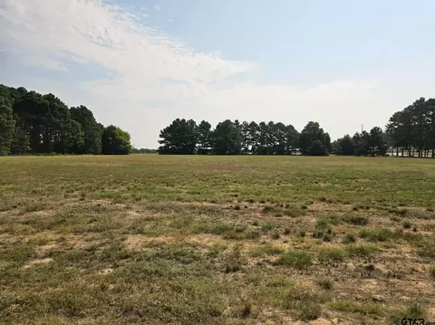 0 Palomino Ct, Athens, TX 75752
