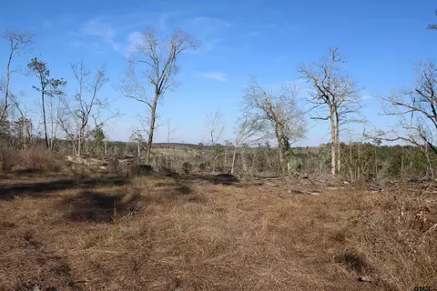 tbd Cr 1627-34 Acres, Rusk, TX 75785