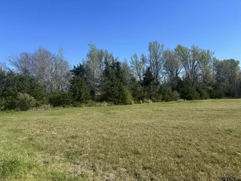 tbd Lot 19 Legacy Park, Pittsburg, TX 75686