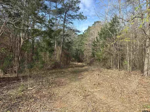 15485 Cr 46, Tyler, TX 75704