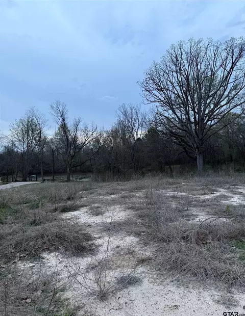 tbd E Hwy 80 E Southside, Mineola, TX 75773