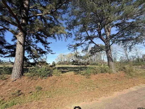 tbd Lot 3 Cr 476, Henderson, TX 75654