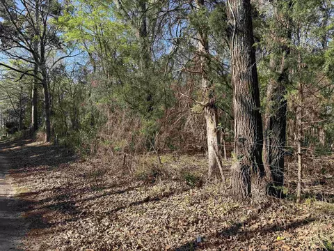 tbd Lot 5 Cr 476, Henderson, TX 75654
