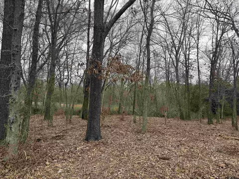 tbd Florence St #LOT 7, Grand Saline, TX 75140