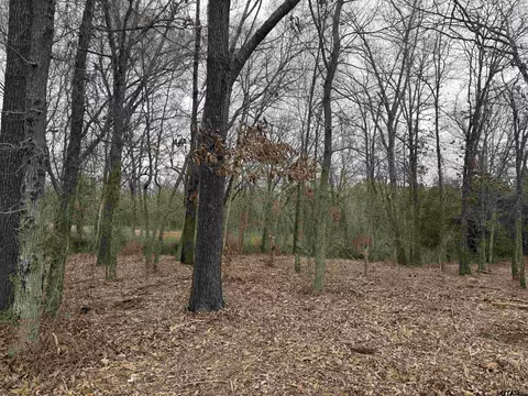 tbd Florence St #LOT 8, Grand Saline, TX 75140