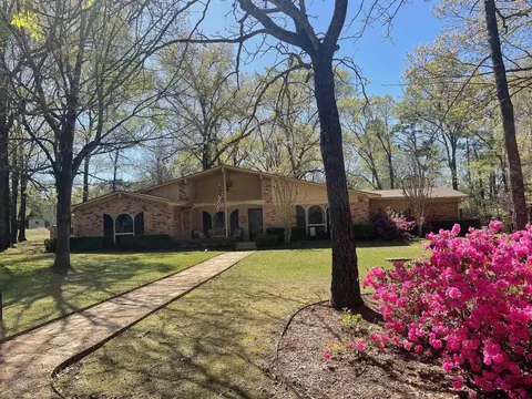 111 Cr 1133, Daingerfield, TX 75638