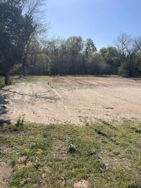 tbd N N Main, Winnsboro, TX 75494