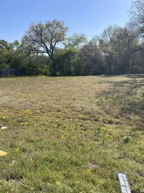 tbd N Main St, Winnsboro, TX 75494