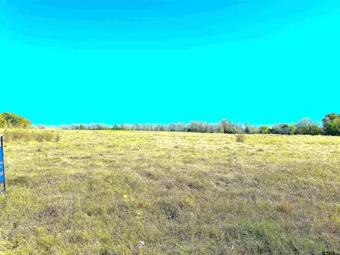 1176 Fm 515, Winnsboro, TX 75494