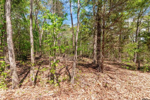 tbd Cr 2337, Tyler, TX 75707