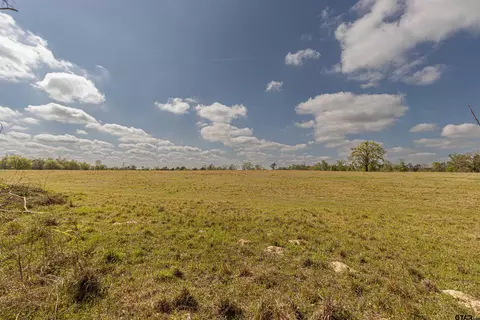 11810 County Rd 3101, Winona, TX 75792