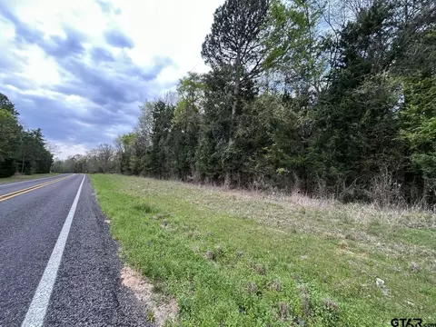 tbd Lot 3 Fm 1519, Leesburg, TX 75451