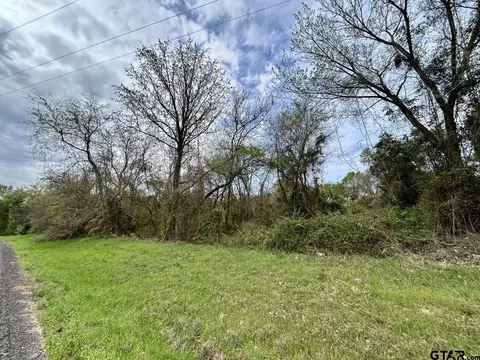 5 Farm To Market 1519, Leesburg, TX 75451