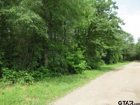 3 54 Ac Cr 352, Palestine, TX 75803