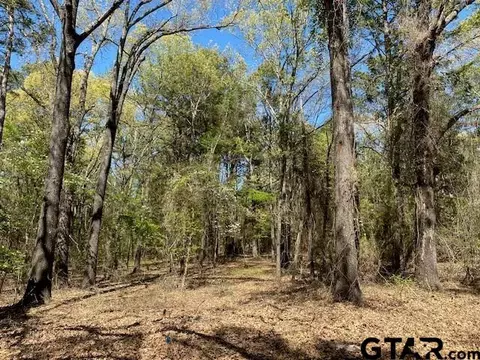 tbd Armadillo Dr, Murchison, TX 75778