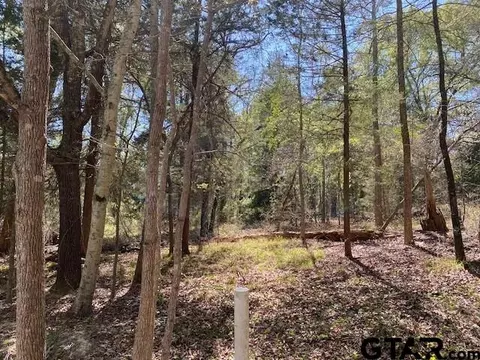 tbd Armadillo Dr, Murchison, TX 75778 photo 2
