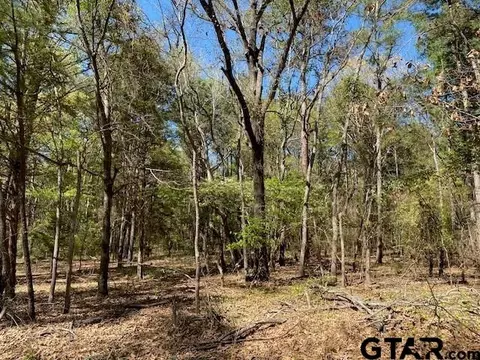 tbd Armadillo Dr, Murchison, TX 75778