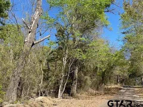 tbd Armadillo Dr, Murchison, TX 75778 photo 6