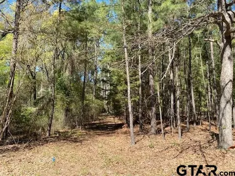 tbd Armadillo Dr, Murchison, TX 75778 photo 5