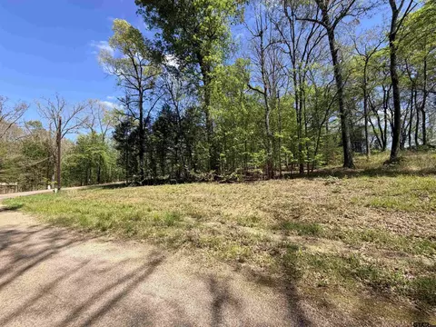 lot1 2 Pelican Dr, Winnsboro, TX 75494