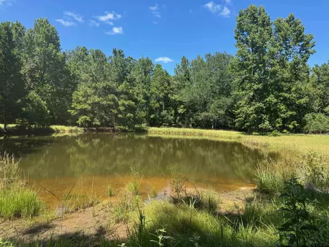 390 Pr 5200, Kennard, TX 75847