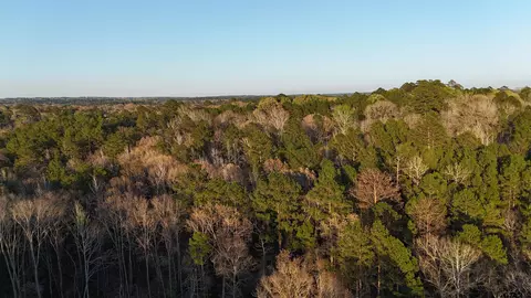 000 Fm 137, Elkhart, TX 75839