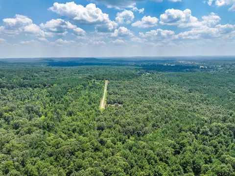 229 Pr 3900 Rd, Gilmer, TX 75644