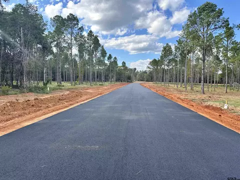 lot86 Oak Riv, Frankston, TX 75763