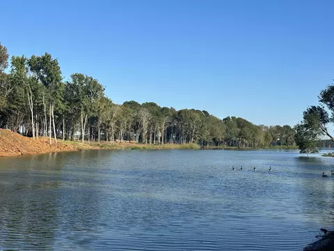 lot104 Oak Riv, Frankston, TX 75763