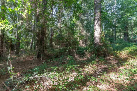 tbd Cr 1237, Tyler, TX 75703