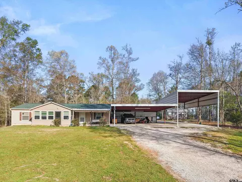 136 W Basil Dr, Diana, TX 75640