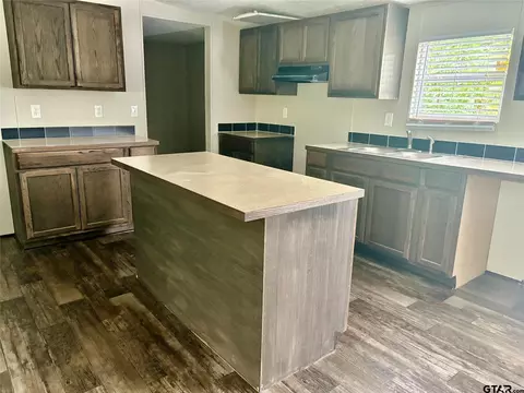 437 Maple Dr, Murchison, TX 75778 photo 4