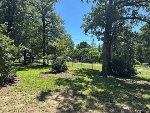 437 Maple Dr, Murchison, TX 75778 photo 3
