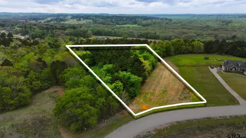 17127 Lux Mundi Rdg, Winona, TX 75792