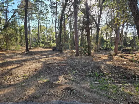 lot6 Hickory Ln, Bullard, TX 75757