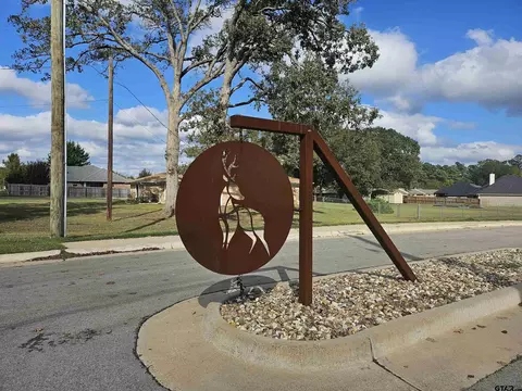 428 Deer Point Cv, Chandler, TX 75758