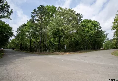 14856 Gold Leaf Ct, Tyler, TX 75707