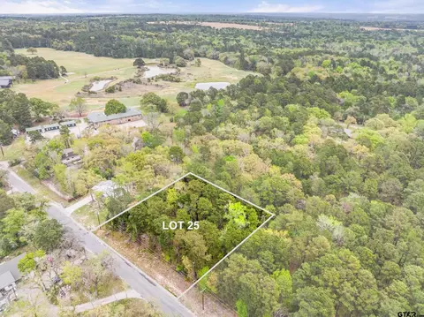 lot25 Acr 319, Frankston, TX 75763