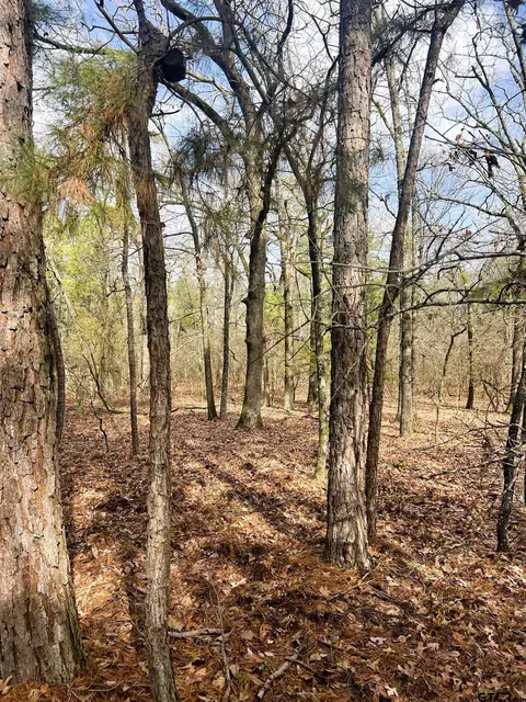 000 Private Road 8000, Winnsboro, TX 75494