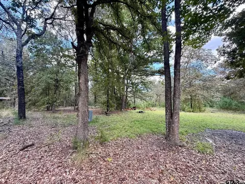 Exterior - 192 Pr 7533, Hawkins, TX 75765 photo 4 of 10