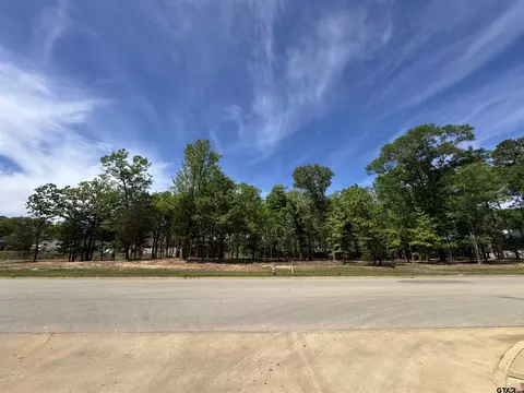 8205 8061 Hollytree Dr, Tyler, TX 75703