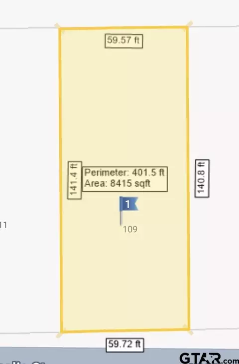 109 W Magnolia St, Troup, TX 75789