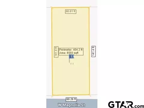 111 W Magnolia St, Troup, TX 75789