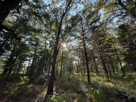 tbd Cr 2798, Mineola, TX 75773