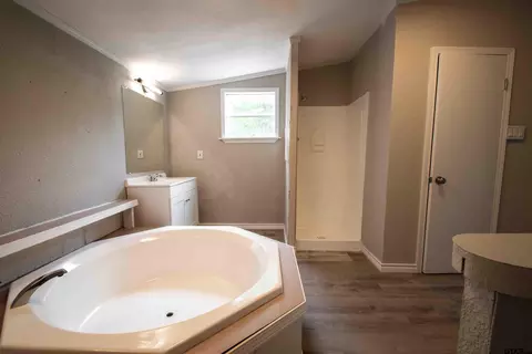 Bath - 161 Clearview Cir, Murchison, TX 75778 photo 3 of 4